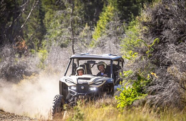 Queenstown: Side-By-Side - Self Drive Guided Buggy Tour