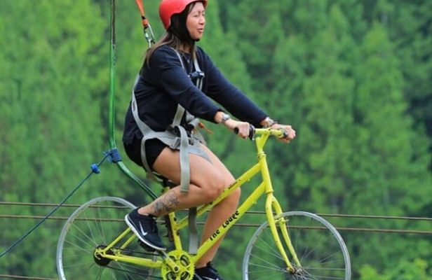 Ubud Half Day Skybike and Zipline Rice Terrace Tour