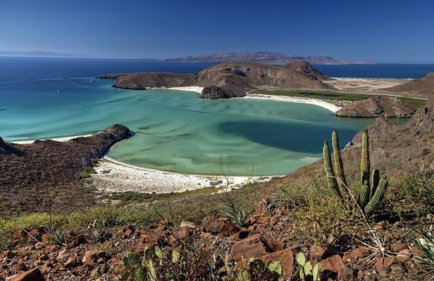 Balandra Beach Bliss Your Baja Day Adventure from Cabo