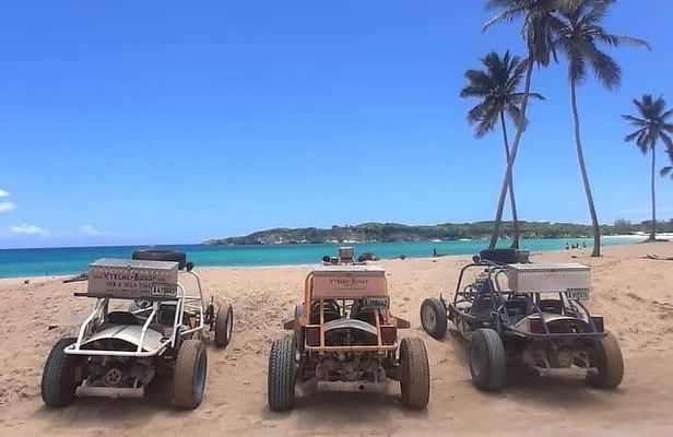 Buggy & ATV -puntacana best Adventures