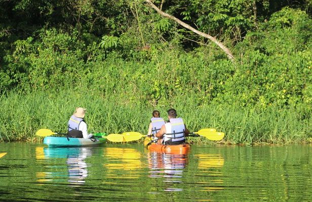 Kayak Tour in Tortuguero Canals with Tourist Guide