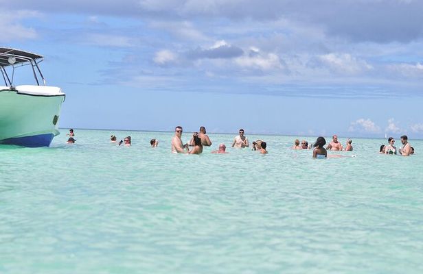 Saona Island Tour in Punta Cana