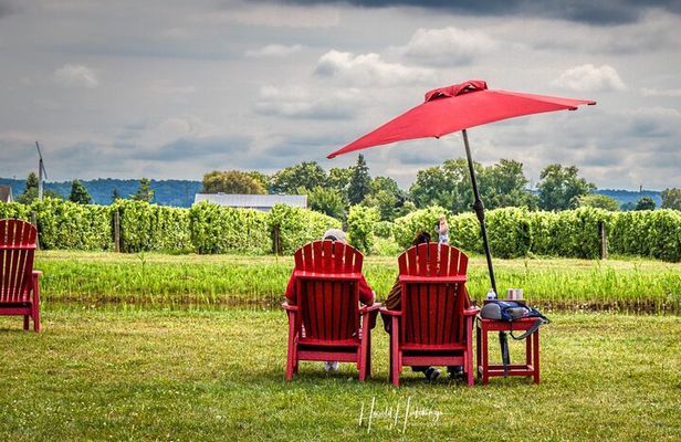 Private Niagara Falls Wine Tasting Adventure