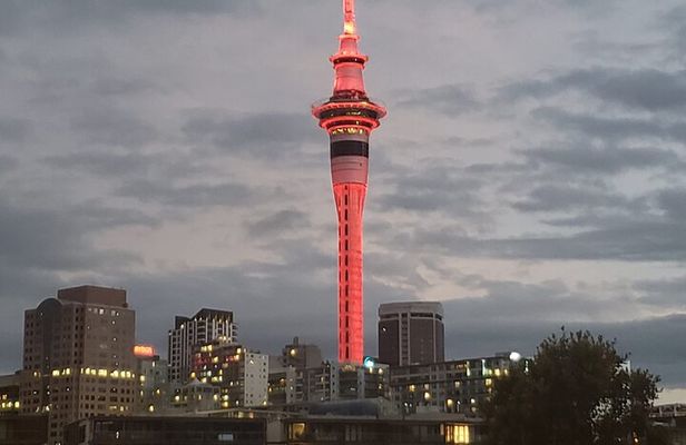 Auckland City Halfday Tour