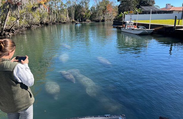 Kings Bay Eco Tours