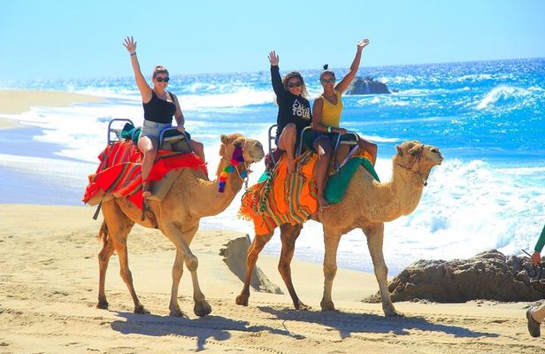 Camel Ride Tour in Los Cabos