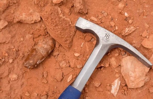 Sahara Desert Fossil Hunting Experience