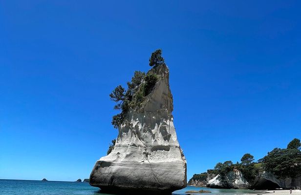 [PRIVATE] Cathedral Cove and Hot Water Beach