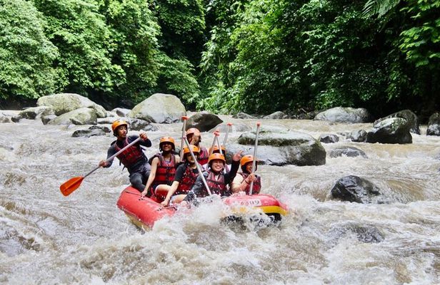 Bali White Water Rafting - Infinity