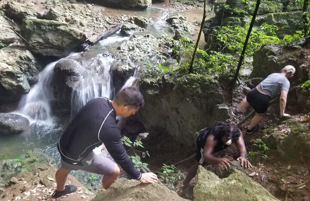 Quashie River Hiking in Cockpit Country Experience