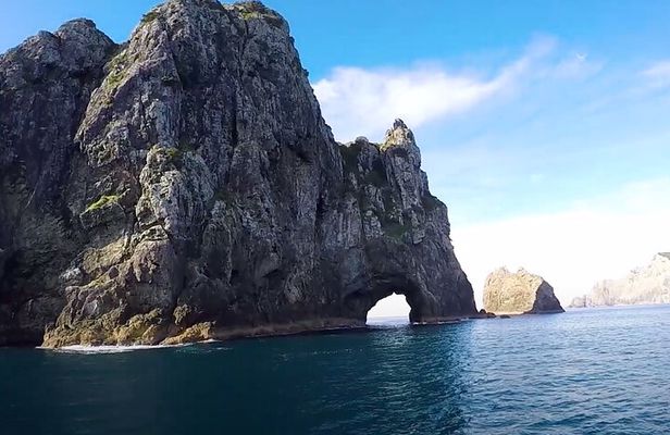 [PRIVATE] Bay of Islands Discovery From Auckland