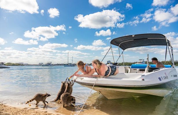 Raccoon Island in a Private Boat Tour