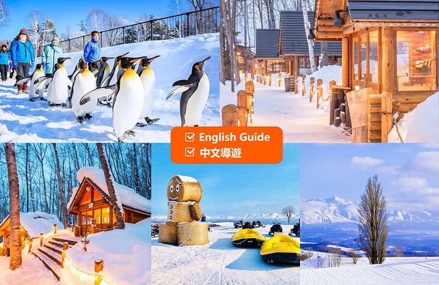 Hokkaido: Asahiyama Zoo, Furano, and Ningle Terrace Full Day Tour