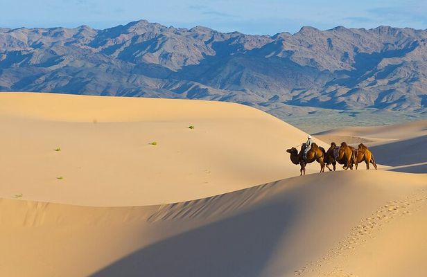 A Private Tour to Central Mongolia