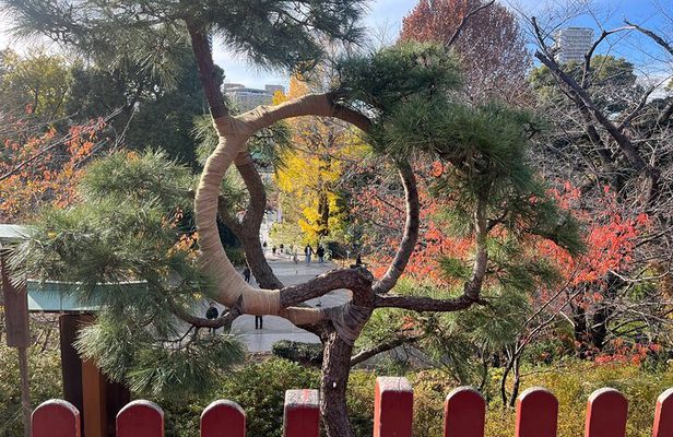 The Shogun Tour in Tokyo
