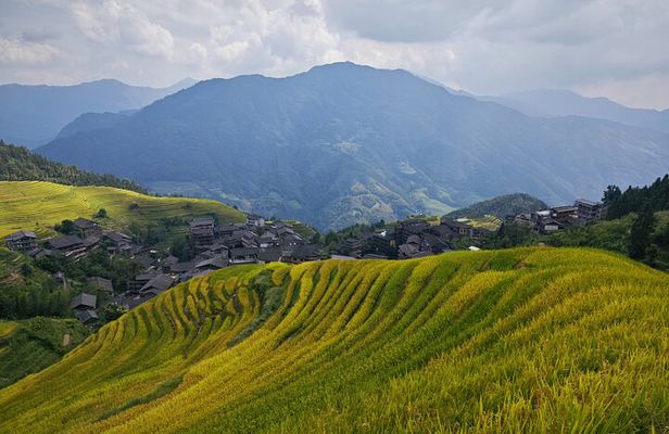 Longji Rice Terraces Hiking Day Tour