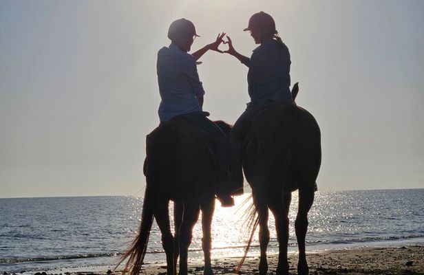 Private Horseback Riding in Muscat Beach