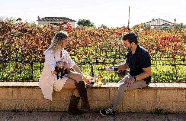 Malaga: Vineyard and Cellar Visit with 6 Top Wines and tapas