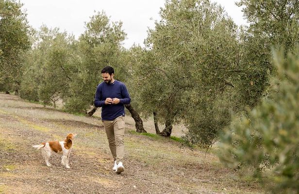 OLIVE OIL & WINE TOUR - Organic Fields 5 Wines + 3 Olive Oils