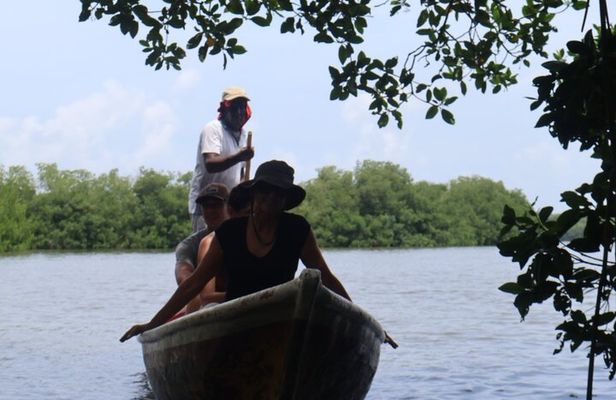 Artisanal Fishing of Crabs and Fish in Mangroves with Natives
