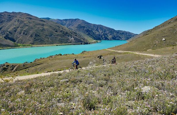 Lake Dunstan Discovery Day Tour by eBike with Shuttle