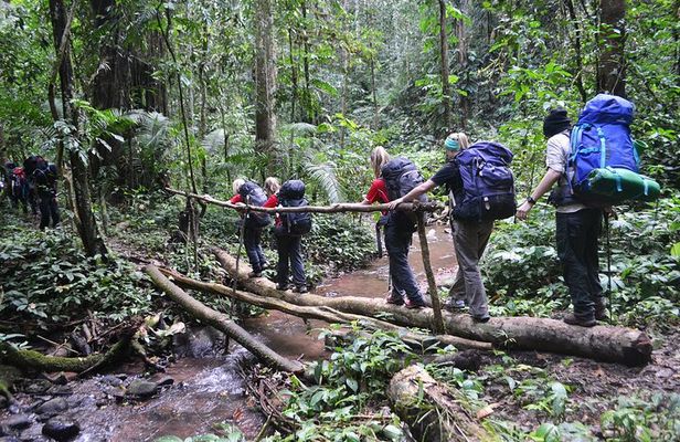 Nalan Trail and Khmu Tribe: 2 Days Trek in Nam Ha NPA