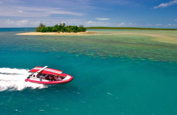 Half Day Low Island and Lagoon Snorkeling from Port Douglas