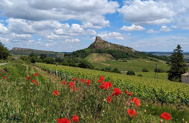 Wine-Tour SUD BURGUNDY: The Maconnais and the Crus du Beaujolais