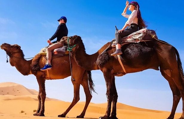 Zagora 2 Day Desert Safari and Luxury Camp From Marrakech
