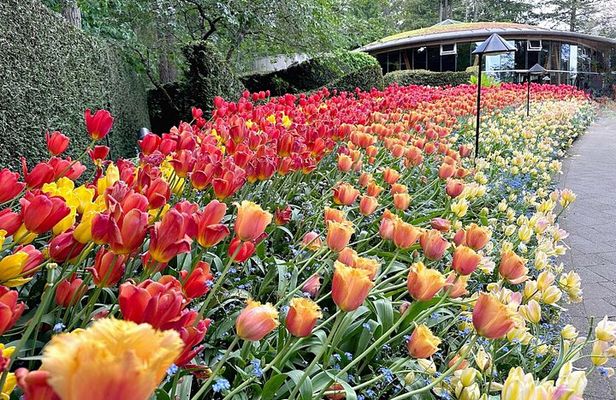 Butchart Gardens and Victoria City Private Luxury Tour 1-4 Pax