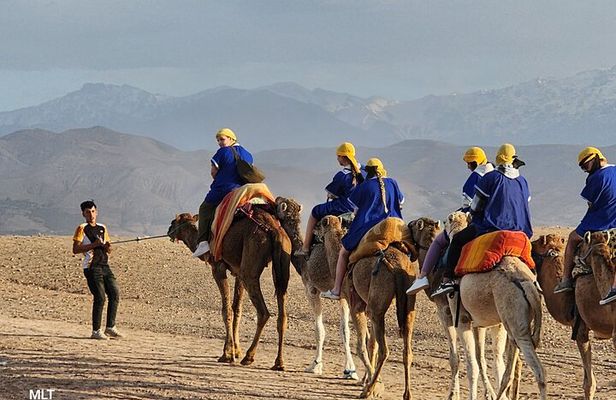 Marrakech: Private Dinner Show and Camels & Quads on Sunset