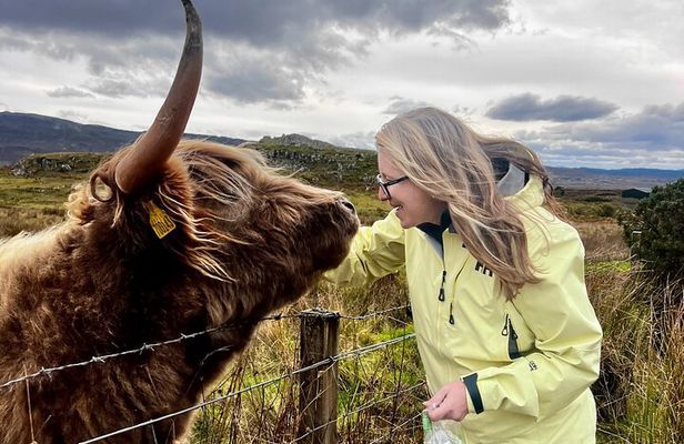 'Luke Skye-Walkers' 1 Day Isle of Skye Adventure + Hike Options 