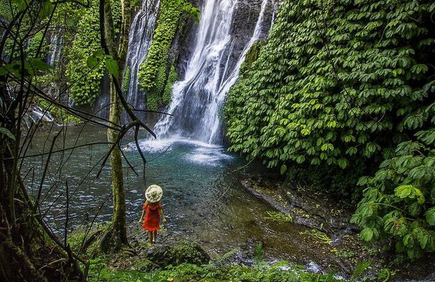 Most Beautiful Waterfall: Banyumala Waterfall