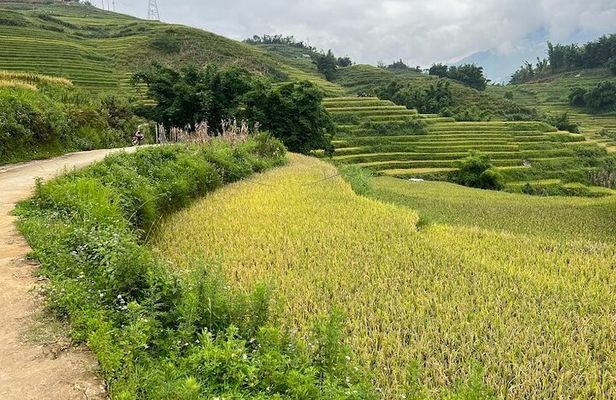 Ta Van Trekking Tour to Bamboo Forest & Ethnic Minority Villages