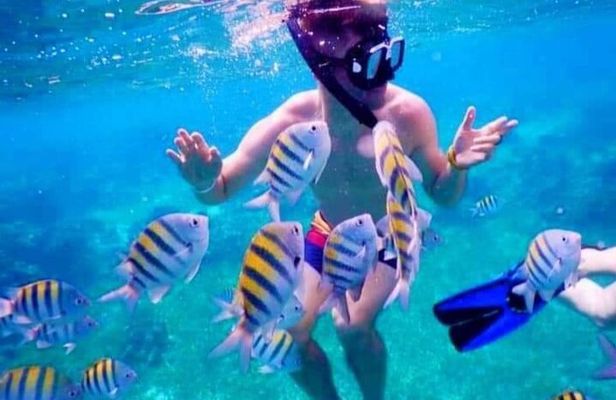 Roatan private Snorkeling Combo Sloths Monkey West Bay beach