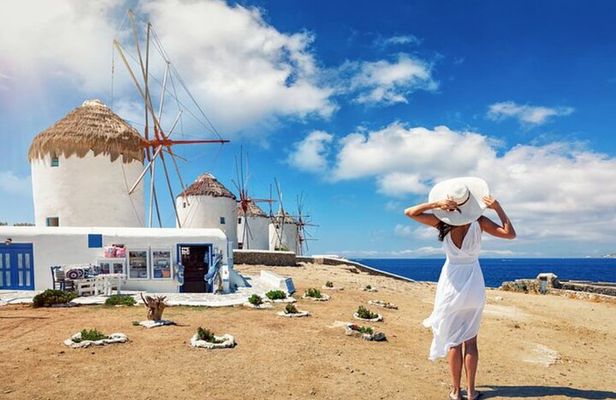 Mykonos Delights Tour from Cruise Port