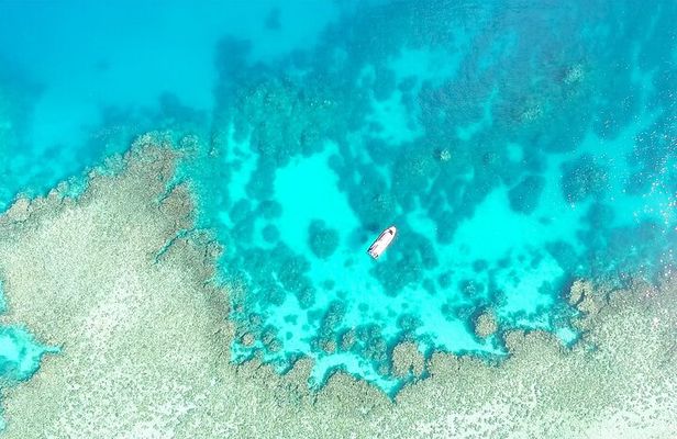 Half Day Outer Reef Snorkelling Tour from Port Douglas