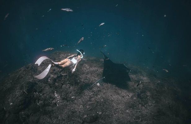 Snorkeling and Freediving Trip around Nusa Penida