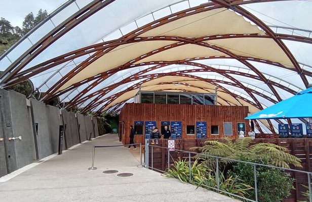 Waitomo Cave and Hobbiton Village Full Day Tour