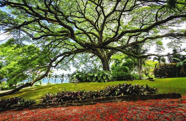 Ken's Panoramic Tour