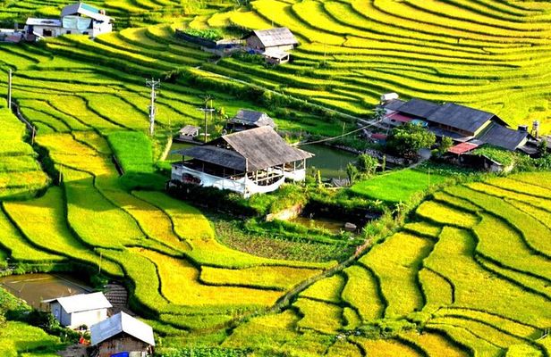 Private Tour Nghia Lo Mu Cang Chai Sapa Bac Ha 5-day from Hanoi