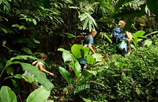 Jungle Experience: 1 Day Trek in Nam Ha NPA