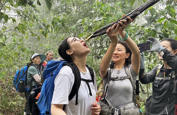 3 Days Multi Adventure in Nam Ha NPA: 2 Days Trek and 1 Day Kayak