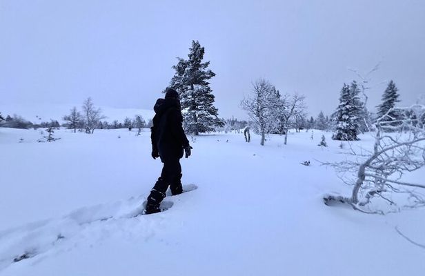 Private: Snowshoeing Safari in spectacular National Park