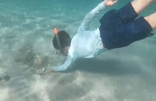 White Sand Beach Jaco Snorkel Adventure with Monkey Tour