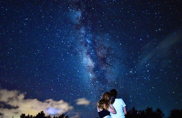 Miyako Island Jungle Night Tour and Starry Sky Viewing