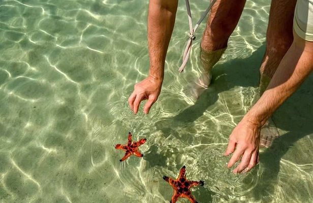 PRIVATE Discover Phu Quoc Local life and Starfish Beach & Lunch