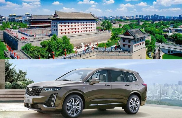 Xi'an Car Service: 1-2 Day Customizable Tour