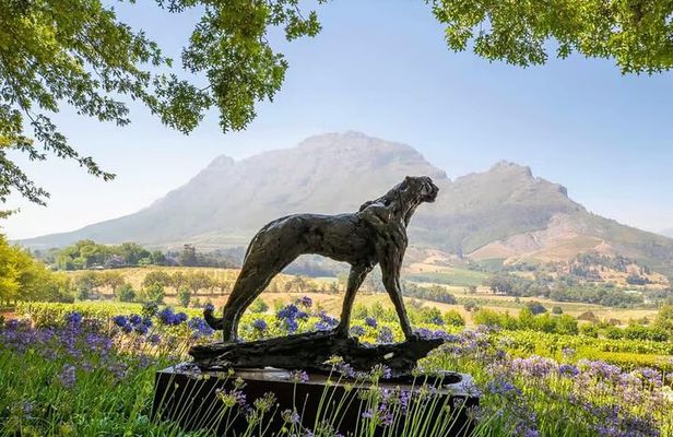 Full Day Winelands Tour With Wine Tasting from Cape Town