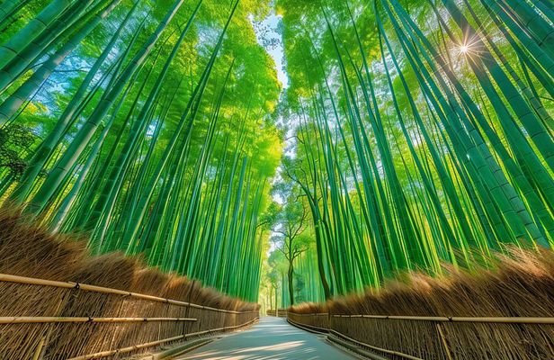 From Osaka: Kyoto Must-see Spots & Nara Park Sightseeing Day Tour